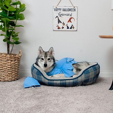 Midlee Scrubs Dog Costume