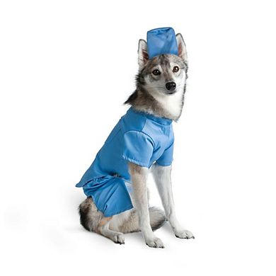 Midlee Scrubs Dog Costume
