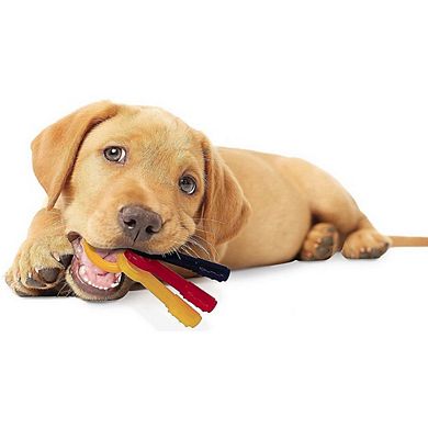 Nylabone Puppy Chew Teething Keys Chew Toy