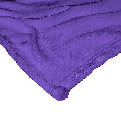 Warner Bros. WB 100 Sorrow Silk Touch Throw Blanket 50x60 Inches