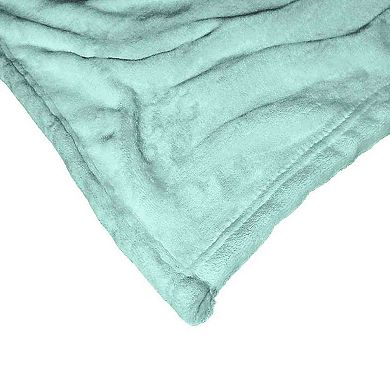 Warner Bros. Looney Tunes Present Thief Silk Touch Throw Blanket 50x60 Inches