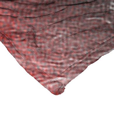 Warner Bros. Game Of Thrones Daenerys Season 4 Silk Touch Throw Blanket 50x60 Inches