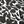 Black Graphic Floral