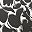 Black Graphic Floral