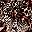 Leopard Print