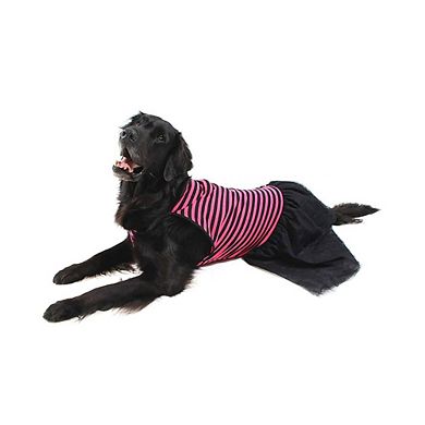 Midlee Stripe Tutu Dog Dress