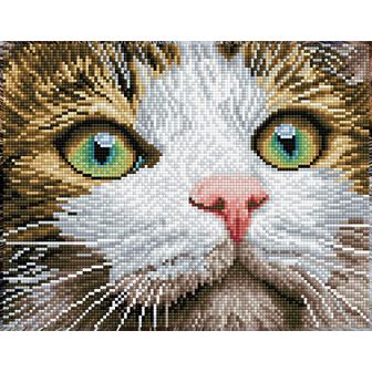 DIAMOND DOTZ Diamond Painting Kit Cat Design
