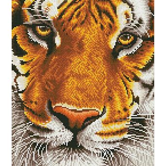 DIAMOND DOTZ Diamond Painting Kit Bengal Magic Design