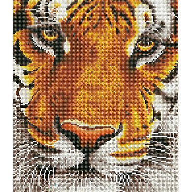 DIAMOND DOTZ Diamond Painting Kit Bengal Magic Design