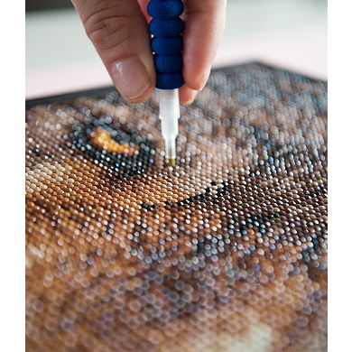 DIAMOND DOTZ Diamond Painting Kit & Muzzle Nuzzle Design