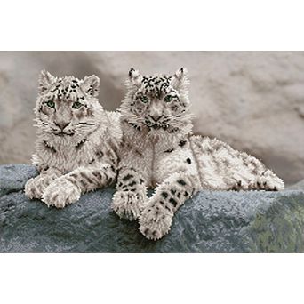 DIAMOND DOTZ Diamond Painting Kit & Snow Leopards Design