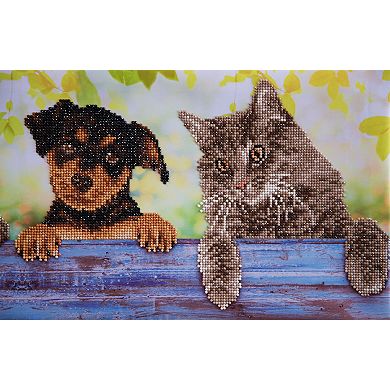 DIAMOND DOTZ Diamond Painting Kit Hang in There Design