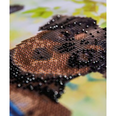 DIAMOND DOTZ Diamond Painting Kit Hang in There Design