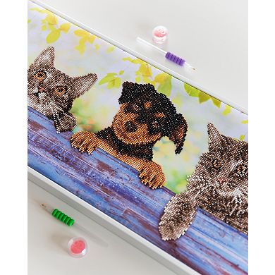 DIAMOND DOTZ Diamond Painting Kit Hang in There Design
