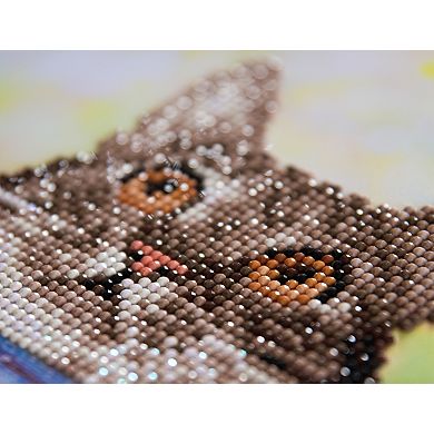 DIAMOND DOTZ Diamond Painting Kit Hang in There Design