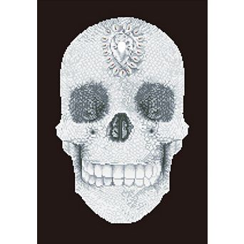DIAMOND DOTZ Diamond Painting Kit Crystal Skull Design
