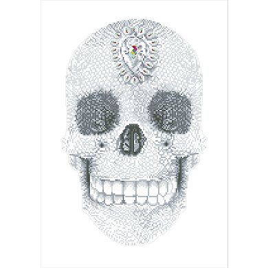 DIAMOND DOTZ Diamond Painting Kit Crystal Skull Design