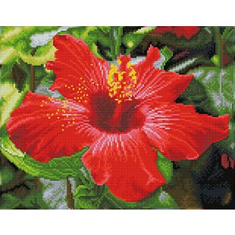 DIAMOND DOTZ Diamond Painting Kit & Hibiscus Design