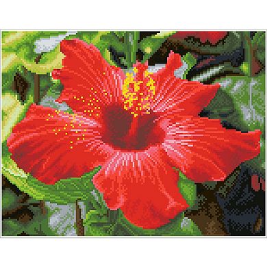 DIAMOND DOTZ Diamond Painting Kit & Hibiscus Design