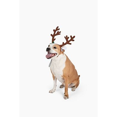 Midlee Brown Reindeer Dog Antlers Headband Pet Christmas Costume