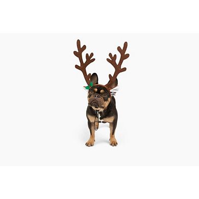 Midlee Brown Reindeer Dog Antlers Headband Pet Christmas Costume