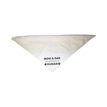 Midlee Mom & Dad are Getting me a Human Dog Bandana