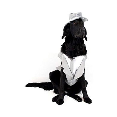 Midlee Dog Tuxedo Wedding Suit- Top Hat & Leash