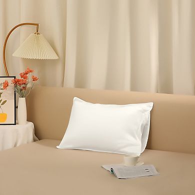 Silk Pillowcase for Skin Set of 2 with Envelope Closure, Queen (20"x30")