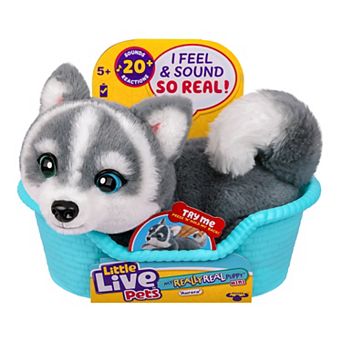 Little Live Pets My Really Real Puppy Interactive Toy - Aurora