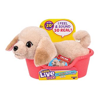 Little Live Pets My Really Real Puppy Minis Interactive Toy - Buddy