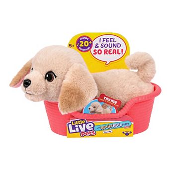 Little Live Pets My Really Real Puppy Minis Interactive Toy - Buddy