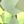 Peridot