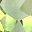 Peridot