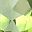 Peridot