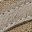 Khaki Sandalwood