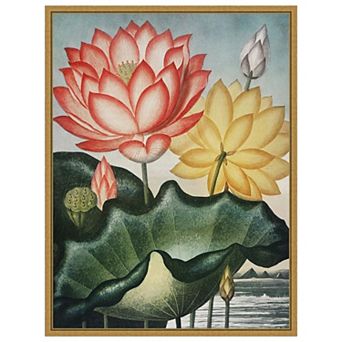 Amanti Art Temple of Flora V by Dr. robert j. Thornton Framed Canvas Wall Art Print