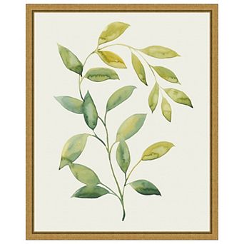 Amanti Art Wilted Vine I by Grace Popp Framed Canvas Wall Art Print