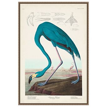 Amanti Art American Flamingo I by John James Audubon Framed Canvas Wall Art Print