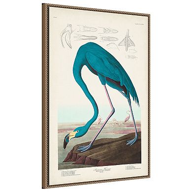 Amanti Art American Flamingo I by John James Audubon Framed Canvas Wall Art Print