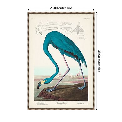 Amanti Art American Flamingo I by John James Audubon Framed Canvas Wall Art Print