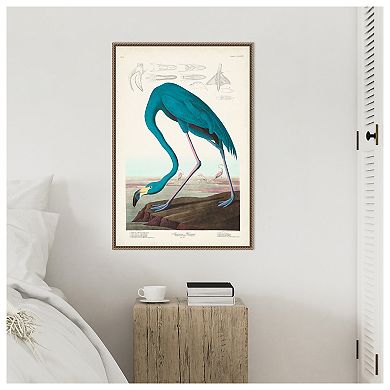 Amanti Art American Flamingo I by John James Audubon Framed Canvas Wall Art Print