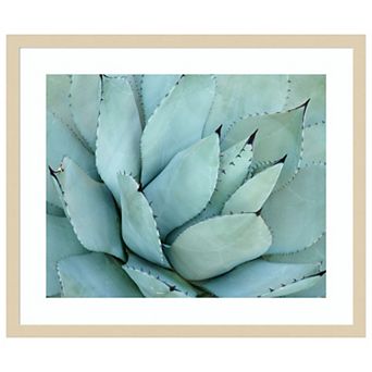 Agave Detail IV by Brittany Evans Wood Framed Wall Art Print
