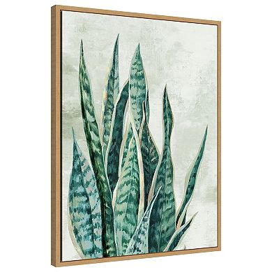 Amanti Art Reaching Snake Plant by PI Studio Framed Canvas Wall Art Print