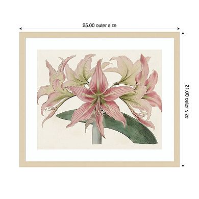 Amaryllis Varietals I by Bette Ridgeway Wood Framed Wall Art Print