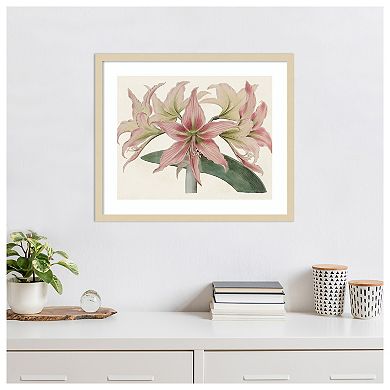 Amaryllis Varietals I by Bette Ridgeway Wood Framed Wall Art Print