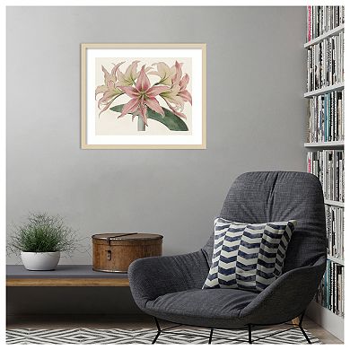 Amaryllis Varietals I by Bette Ridgeway Wood Framed Wall Art Print