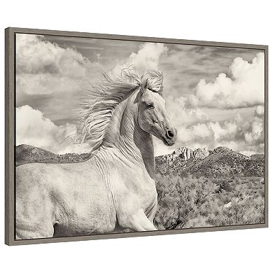 Amanti Art Free to Run by PHBurchett Framed Canvas Wall Art Print