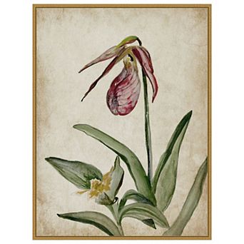 Amanti Art Elegance Unveiled II by Jacob q Framed Canvas Wall Art Print