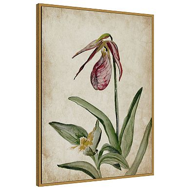 Amanti Art Elegance Unveiled II by Jacob q Framed Canvas Wall Art Print