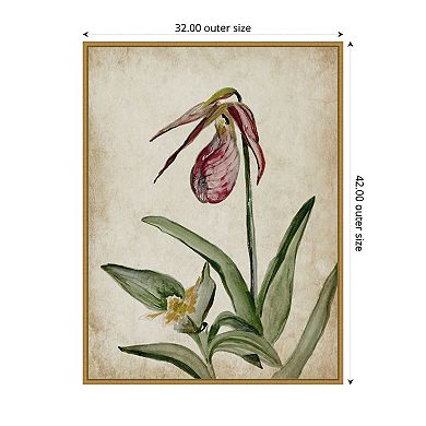 Amanti Art Elegance Unveiled II by Jacob q Framed Canvas Wall Art Print